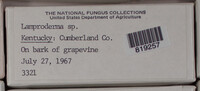 Image Associated With the Occurence